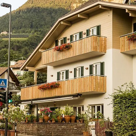 B&B Pizzeria Zur Traube-2