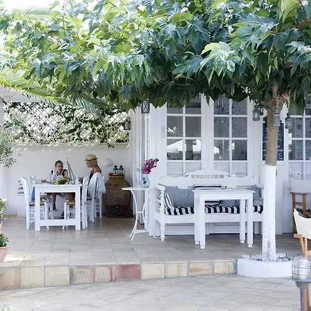 Villa Ippocampi - Adults Only-2