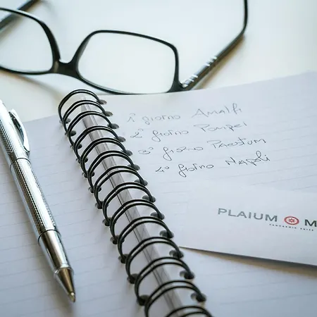 Plaium Montis-3
