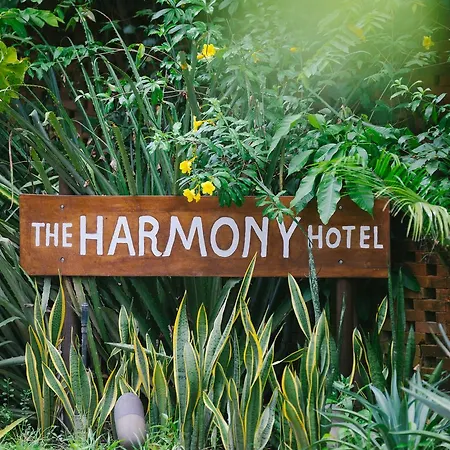 The Harmony Hotel-3