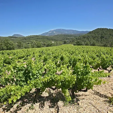 Auberge Les Olivades-3