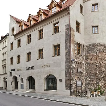 Hotel David an der Donau-3