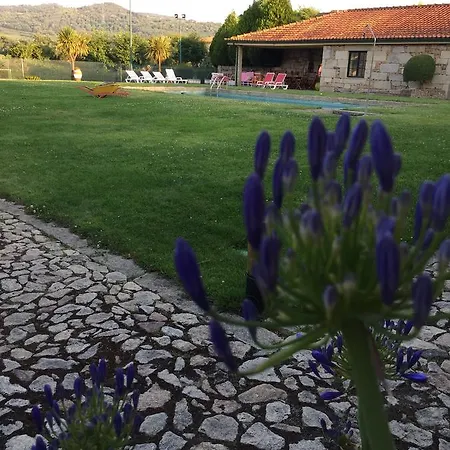 Quinta Da Vinha Morta-3