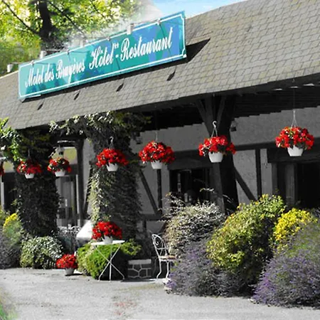 Motel des Bruyères-2