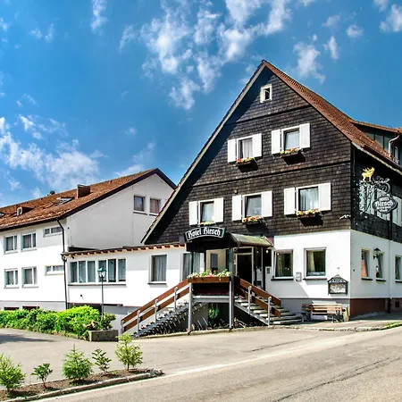 Hotel Hirsch-3