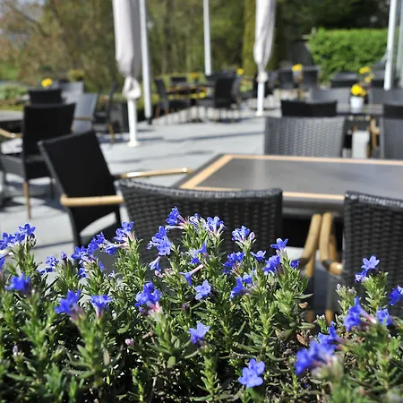 Golden Tulip Arnhem Velp-3