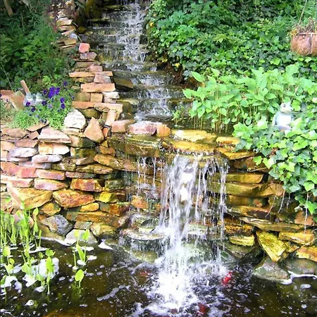 Black Forest Bed & Breakfast-3
