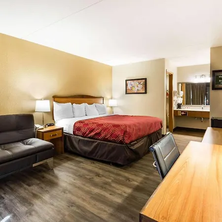 Econo Lodge Inn & Suites Branson Shepherd Of The Hills Expy-2