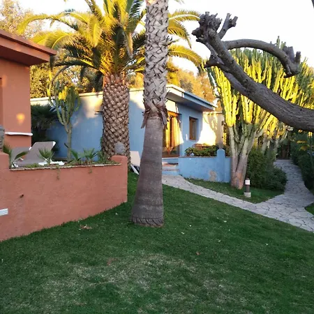 Beach Hotel Dos Mares-3