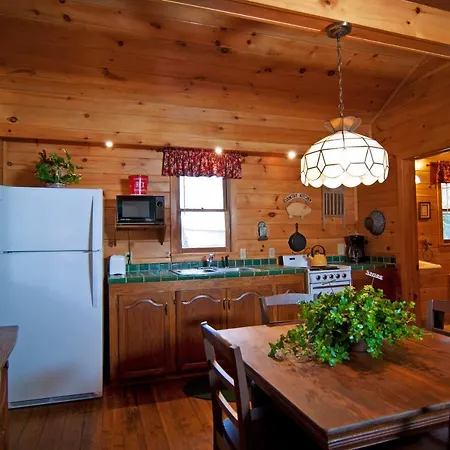 Mountain Springs Cabins-3