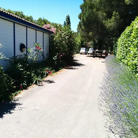Bungalows&Rooms - Gît'Ôstal-3