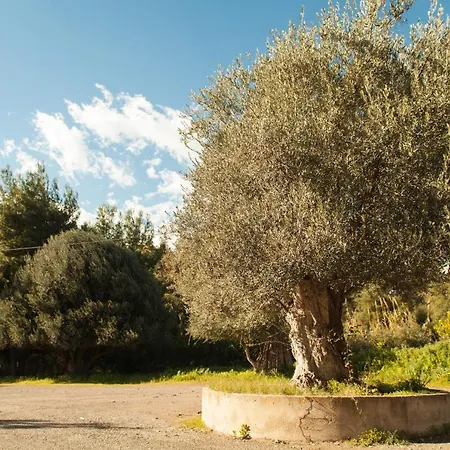 L'Albero-2