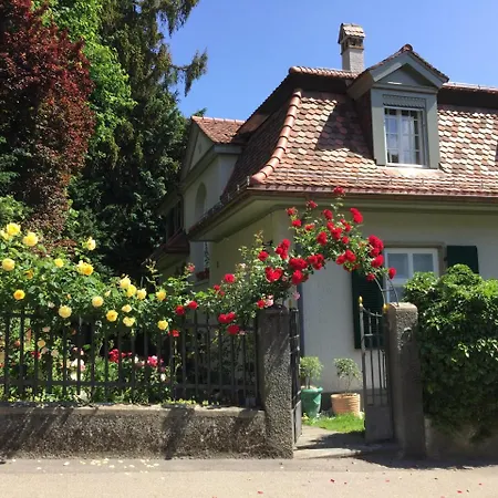 Bed And Breakfast Wildrose-2