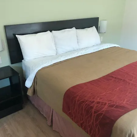 Comfort Inn & Suites - Kew Gardens Near La Guardia Airport-2