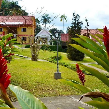Hotel Girassol-3