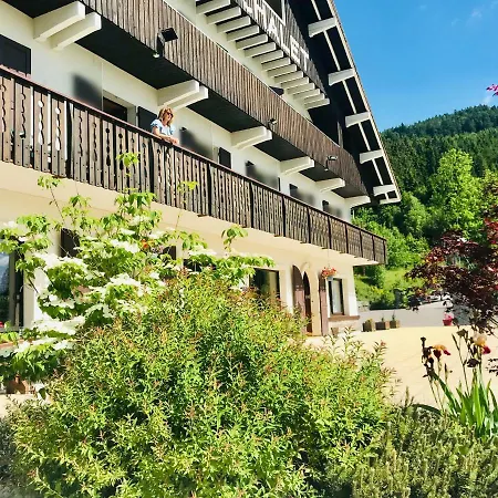 Hotel Restaurant Le Chalet Au Bord Du Lac-3