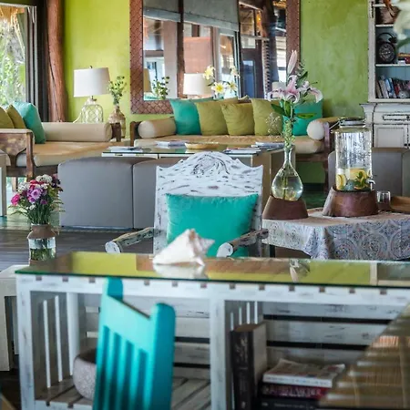 El Pez A Colibri Boutique Hotel-2
