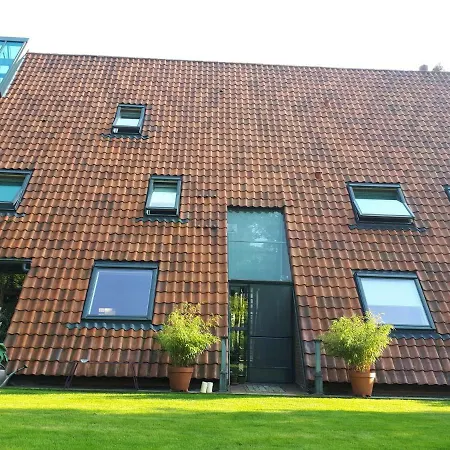 B&B Veado-2