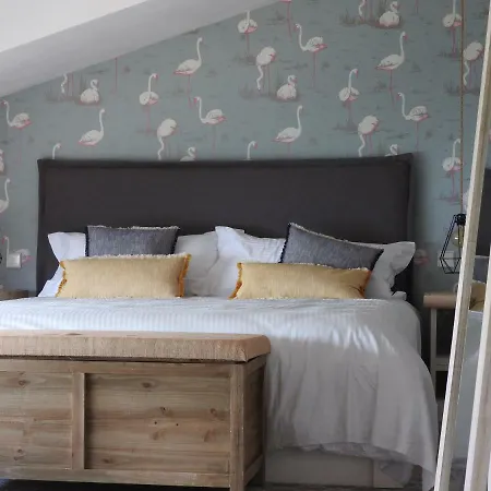 The Beach House Studios & Suites-2