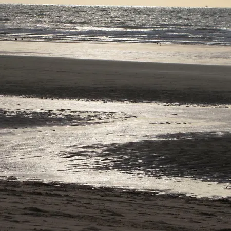Comfort Aan Zee Guestrooms-3