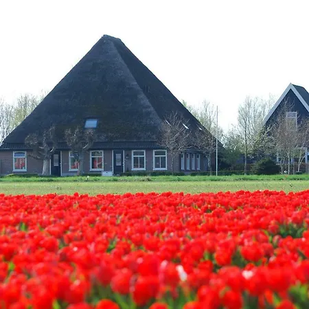 B&B Idylle aan Zee incl 2 Wellnessstudios-2
