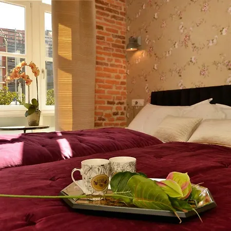 Center Suite Santander-3