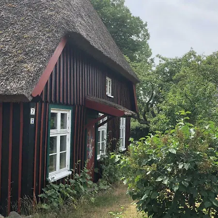 Villa Baltia-3