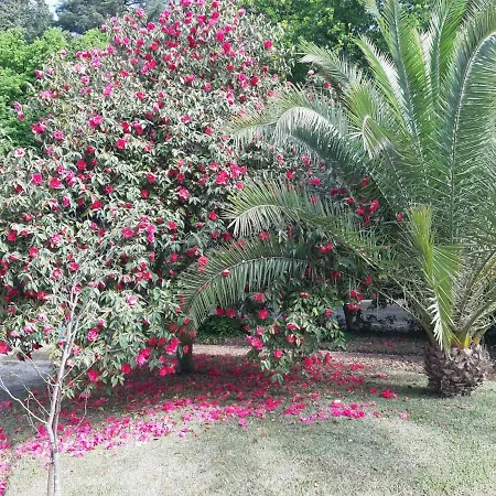 Casa Da Espinhosa-3