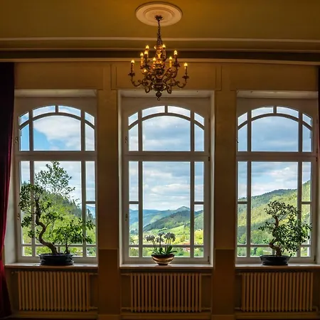 Hotel Schloss Hornberg-3