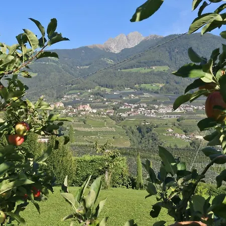 Hotel Hofer-3