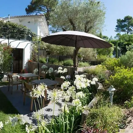 Ferret Vigne - Villa Chambres d'Hôtes-2