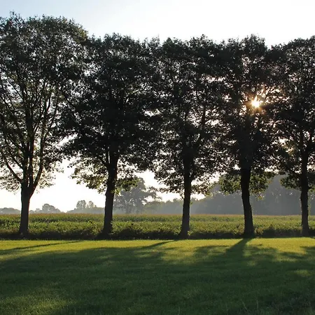Bed & Breakfast De Lindehoek-2