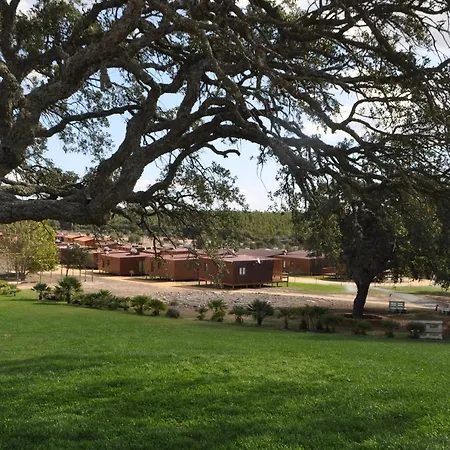 Zmar Eco Experience-2