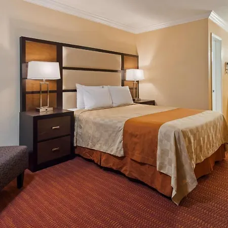 Surestay Hotel By Best Western San Jose Airport-2