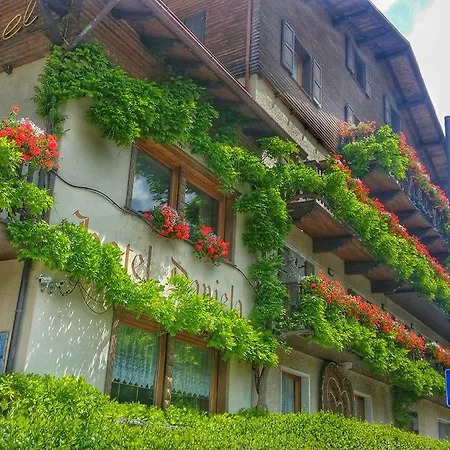 Hotel Daniela-2