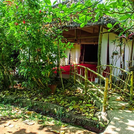Eden Garden-2