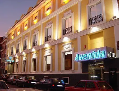 Hotel Avenida Leganés-2