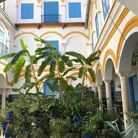 La Casa en el Centro-2