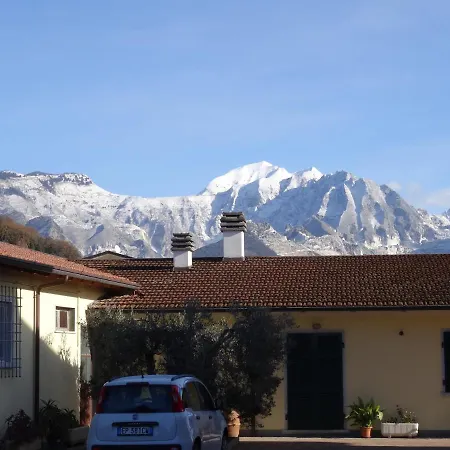 Merlo d'Oro-2
