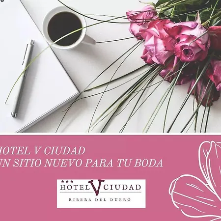 Hotel V.Ciudad-3