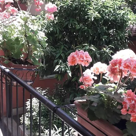 Gioia Guest House Rome-2