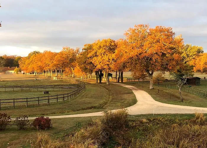 haras du Vignault Le Bûcher