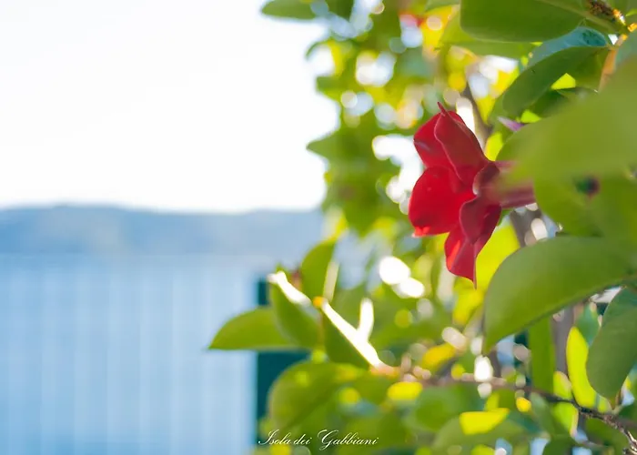 B&B Isola Dei Gabbiani Bergeggi
