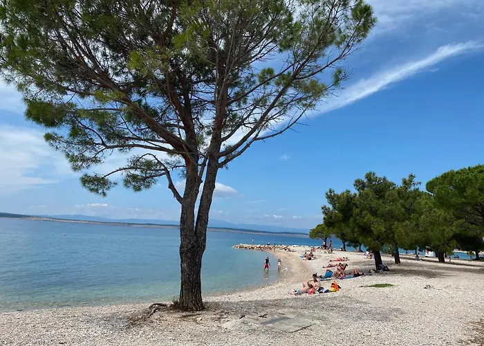 Family Apartments Vesna- 100 M Beach -Center Crikvenica