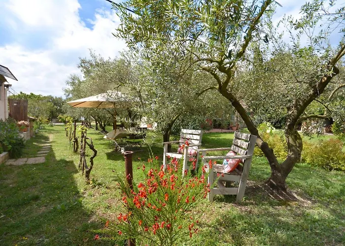 le cabanon de l'olivette
