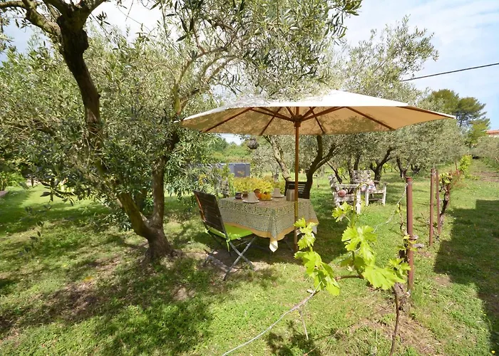 le cabanon de l'olivette