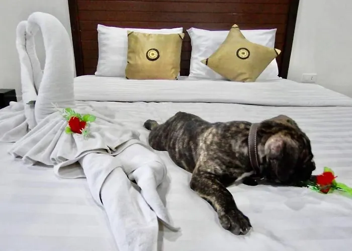 Vivi Boutique Room Hotel Sha Plus