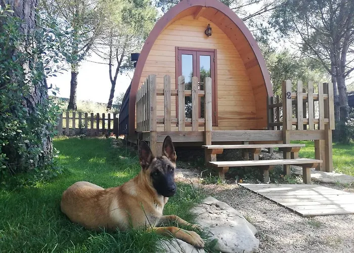 Glamping Sintra Hotel