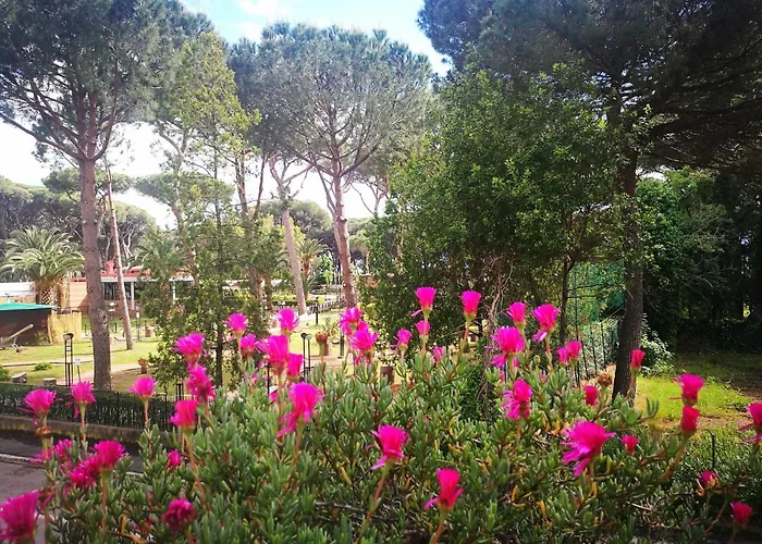Casa Margherita Affittacamere B&B Follonica