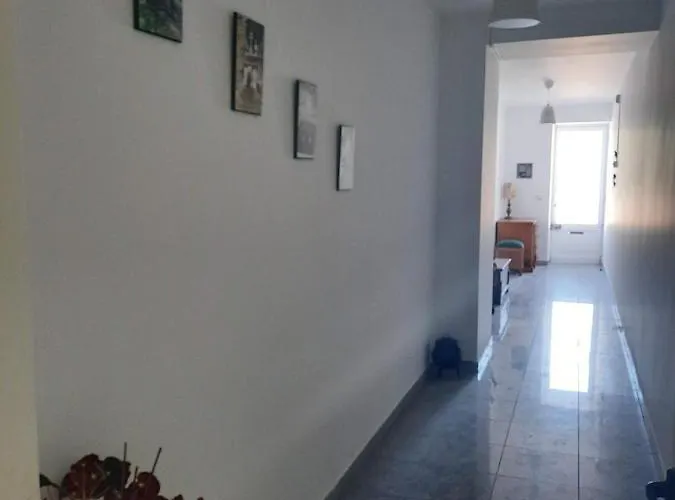 Casa Araci Hotel Vieira do Minho